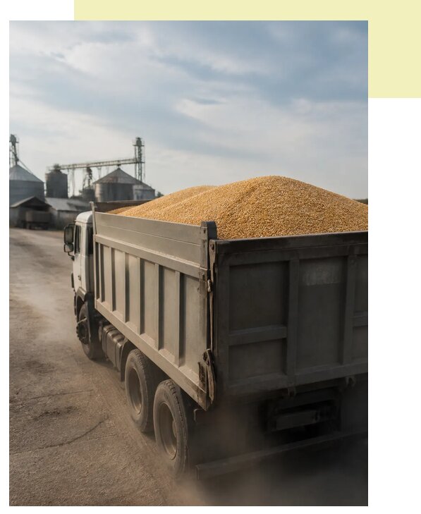 Перевозка сельхозпродукции навалом в Ялуторовск по цене от 3099 р. | Агросервис-Лтр